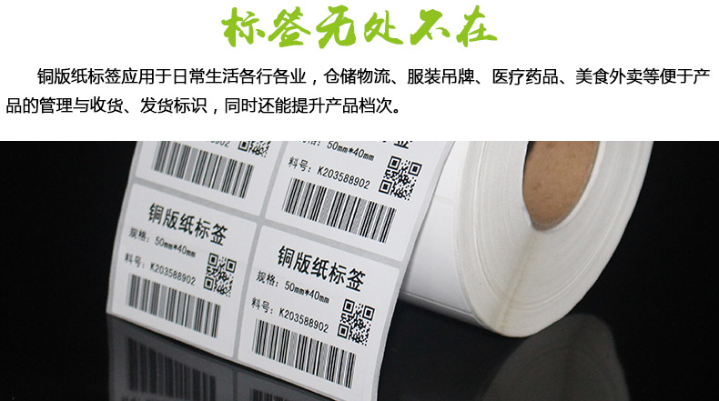 銅版紙5040_03.jpg