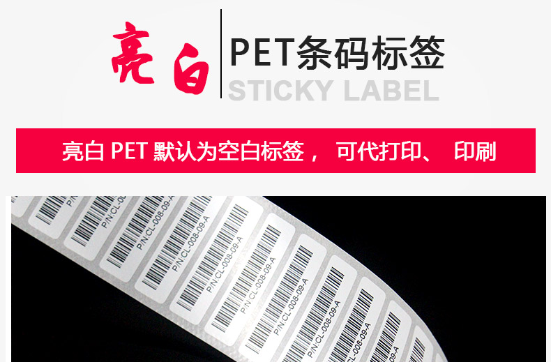 亮白PET40-10_01.jpg