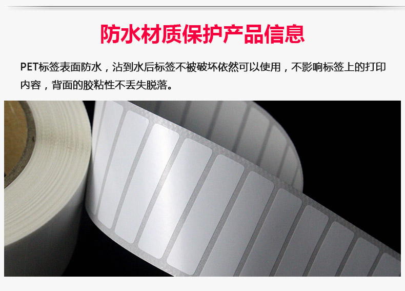 亮白PET40-10_10.jpg