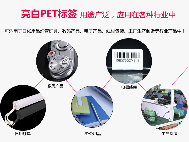 亮白PET40-10_07.jpg