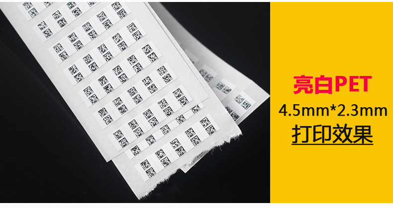 西鐵城F-4604_24.jpg
