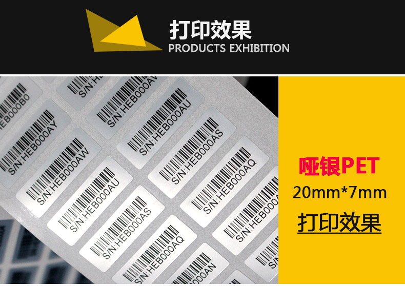 西鐵城F-4604_21.jpg